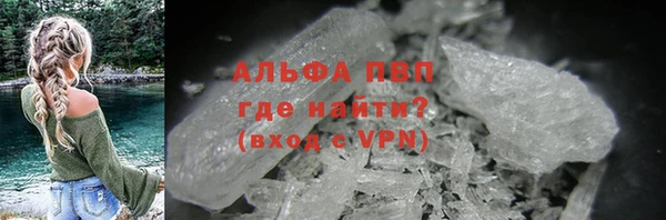 стаф Алексин