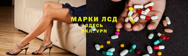 винт Алзамай