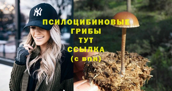стаф Алексин