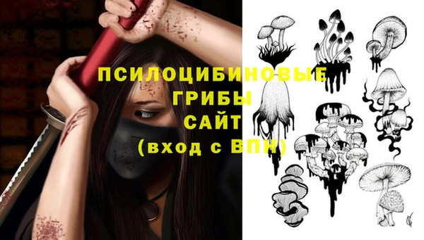 винт Алзамай