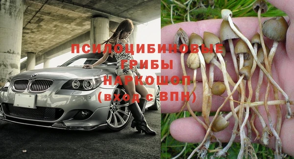 стаф Алексин