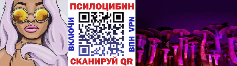 купить наркотики цена  гидра tor  Псилоцибиновые грибы GOLDEN TEACHER  Зуевка 